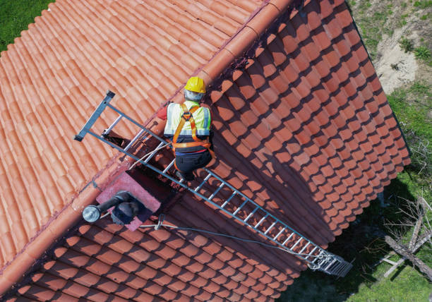 Best Chimney Flashing Repair  in Canyon Lake, TX
