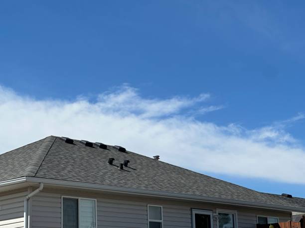 Best Gutter Installation and Repair  in Canyon Lake, TX